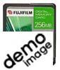 Fujifilm CompactFlash 256MB